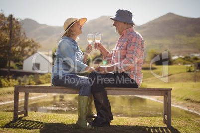 Senior couple toasting glasses of wine while sitting on a bench in lawn