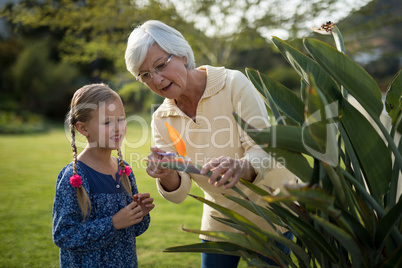 Granddaughter and grandmother looking at a yellow flower on the plant
