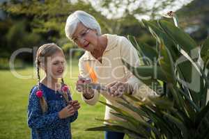 Granddaughter and grandmother looking at a yellow flower on the plant