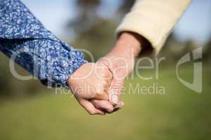 Granddaughter and grandmother holding hands in garden