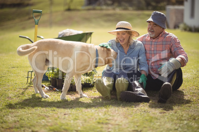 Senior couple caressing dog while sitting in their lawn.