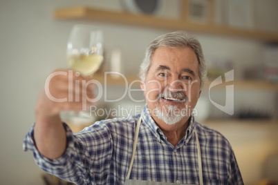 Senior man holding a glass of wine at home