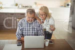 Senior couple using laptop