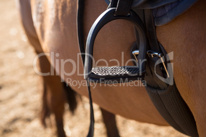 Close-up of saddle tied on horse