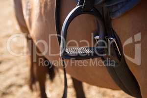 Close-up of saddle tied on horse