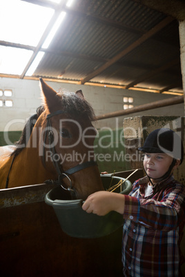 Girl feeding the horse in the stable