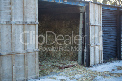 Large horse stable