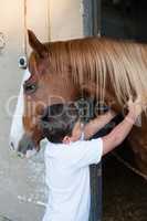 Rider boy caressing a horse