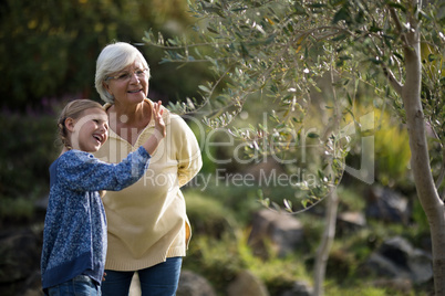Granddaughter touching tree while grandmother standing beside her