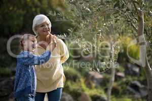 Granddaughter touching tree while grandmother standing beside her