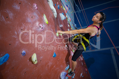 Woman practicing rock climbing in fitness studio