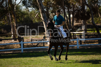 Male jockey riding horse in the ranch