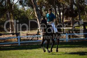 Male jockey riding horse in the ranch