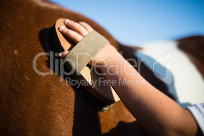 Boy grooming the horse in the ranch