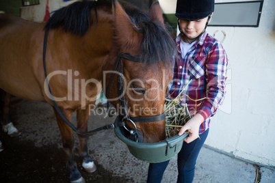 Girl feeding the horse in the stable