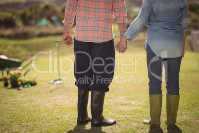 Senior couple holding hands and standing in their lawn on a sunny day