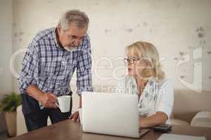 Senior couple using laptop