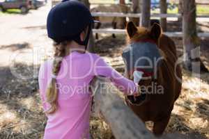 Girl feeding the horse in the ranch