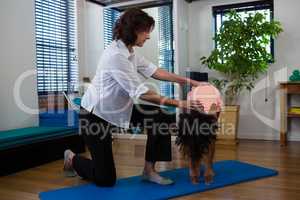 Physiotherapist assisting girl in exercising