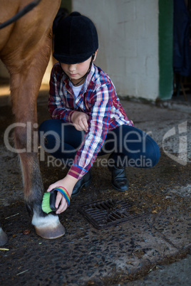 Girl grooming the horse