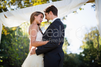 Affectionate couple embracing each other in park