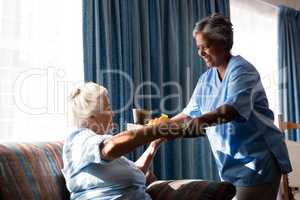 Doctor serving food to senior woman sitting on sofa