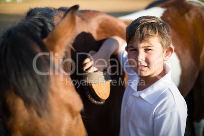 Boy grooming the horse in the ranch