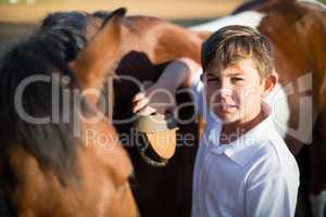 Boy grooming the horse in the ranch