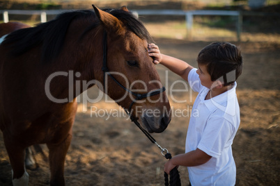 Rider boy caressing a horse in the ranch