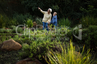 Grandmother pointing at distance while granddaughter standing beside her