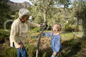 Smiling granddaughter and grandmother interacting with each other