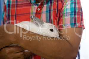 Midsection of senior man holding rabbit