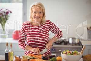 Senior woman chopping vegetables at home