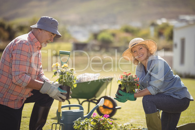 Smiling senior couple holding plant sapling while gardening