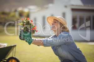 Smiling senior woman holding sapling plant in garden