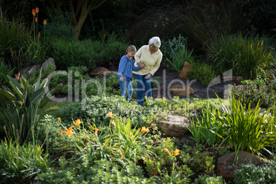 Grandmother and granddaughter looking at the plants in garden