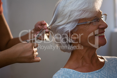 Cropped hands of hairsylist cutting hair of senior woman