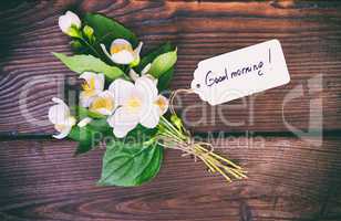 bouquet of blossoming jasmine with white flowers