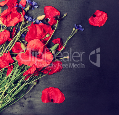Bouquet of blooming red poppies and blue cornflowers