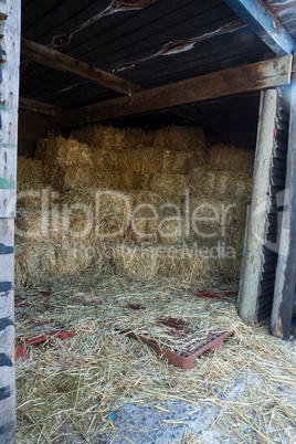 Stack of hay in barn
