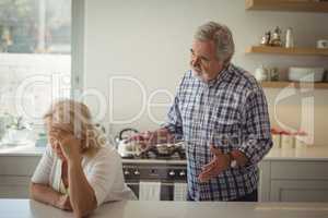 Senior couple arguing in kitchen