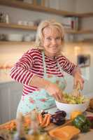 Senior woman mixing vegetables salad in kitchen