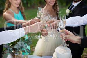 Newly married couple and guests toasting glasses of champagne