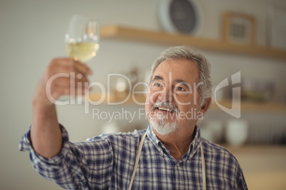 Senior man holding a glass of wine