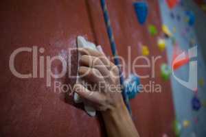 Athlete practicing rock climbing in fitness studio