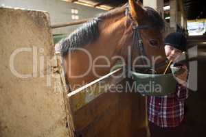 Girl feeding the horse in the stable