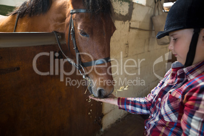 Girl feeding the horse in the stable