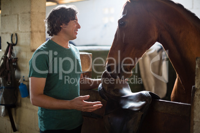 Man caressing the brown horse in the stable