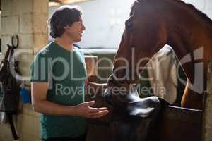 Man caressing the brown horse in the stable