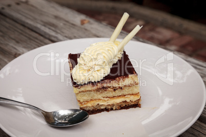 Creamy Italian tiramisu with a coffee flavored custard